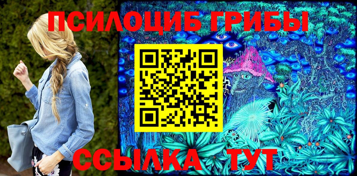 даркнет сайт  Вход с VPN  Первоуральск  Псилоцибиновые грибы Psilocybine cubensis 